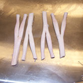 bovine tendon