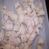 Calf Corium